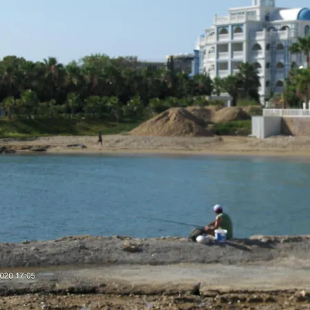 Odessa Авсаллар