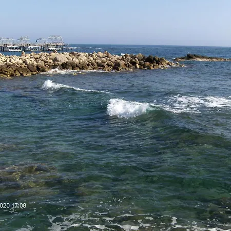 Odessa Отель типа 