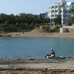 Odessa 아브살라르