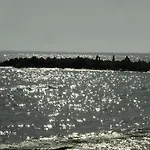 Odessa