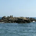 Odessa B&B 아브살라르